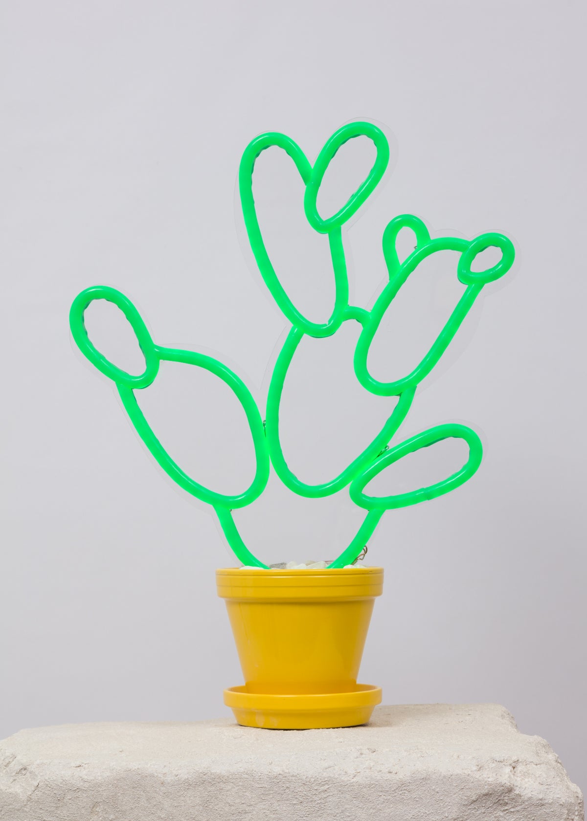 neon pear cactus decor