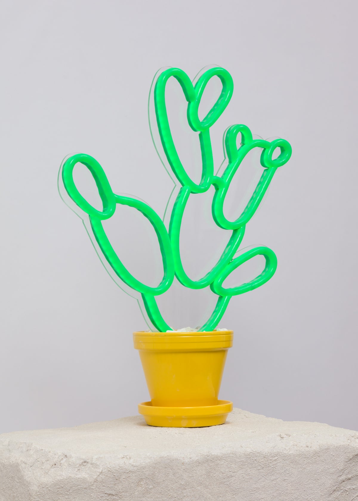 neon pear cactus decor