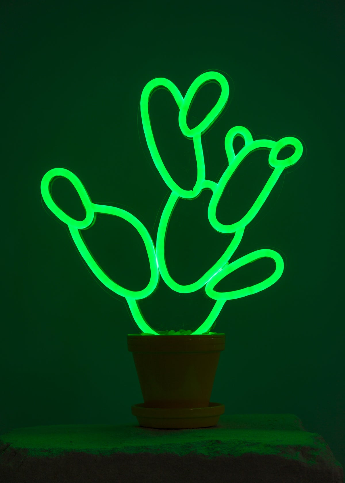 neon pear cactus decor