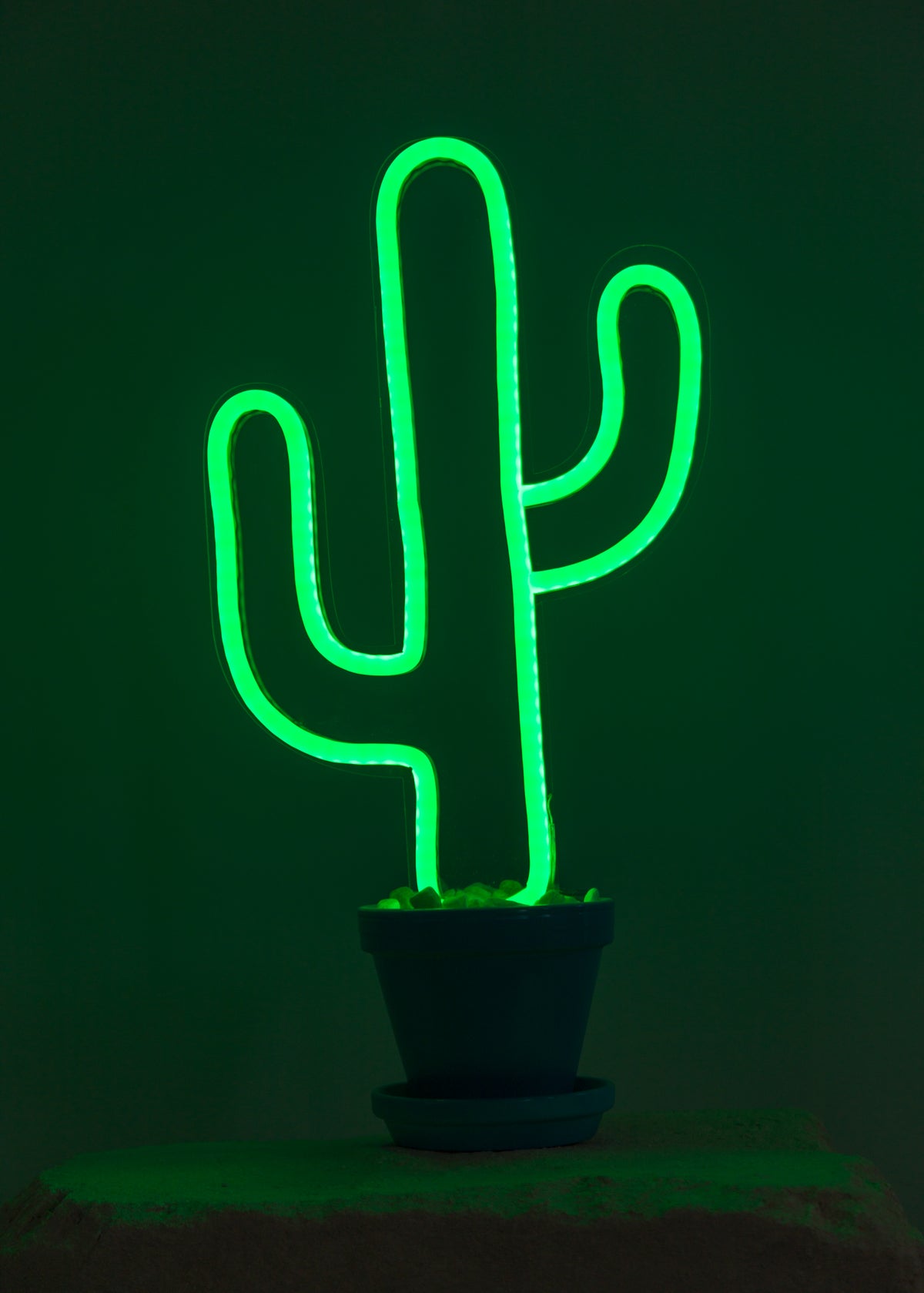 classic cactus shaped neon decor