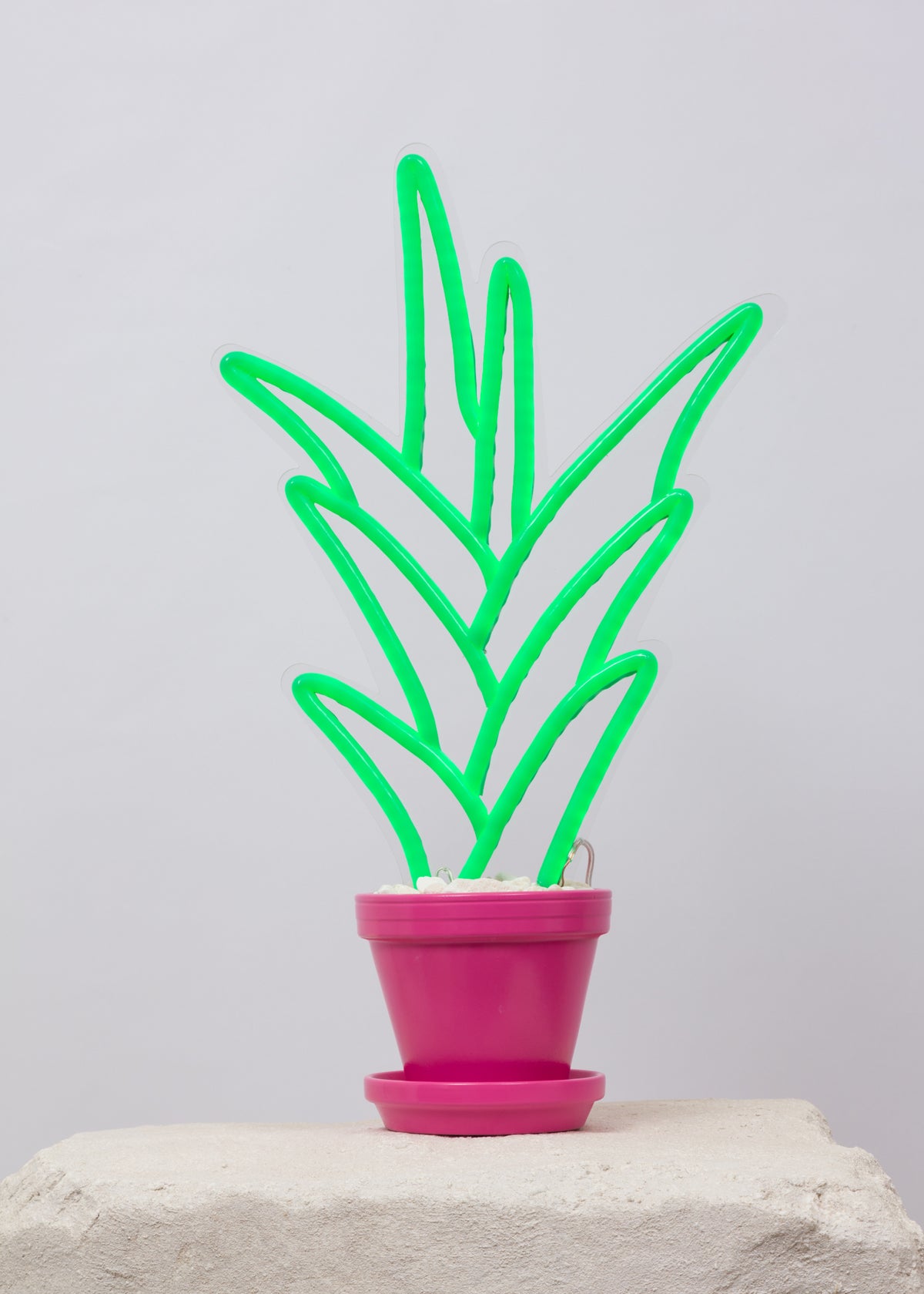 neon plant in a pink pot