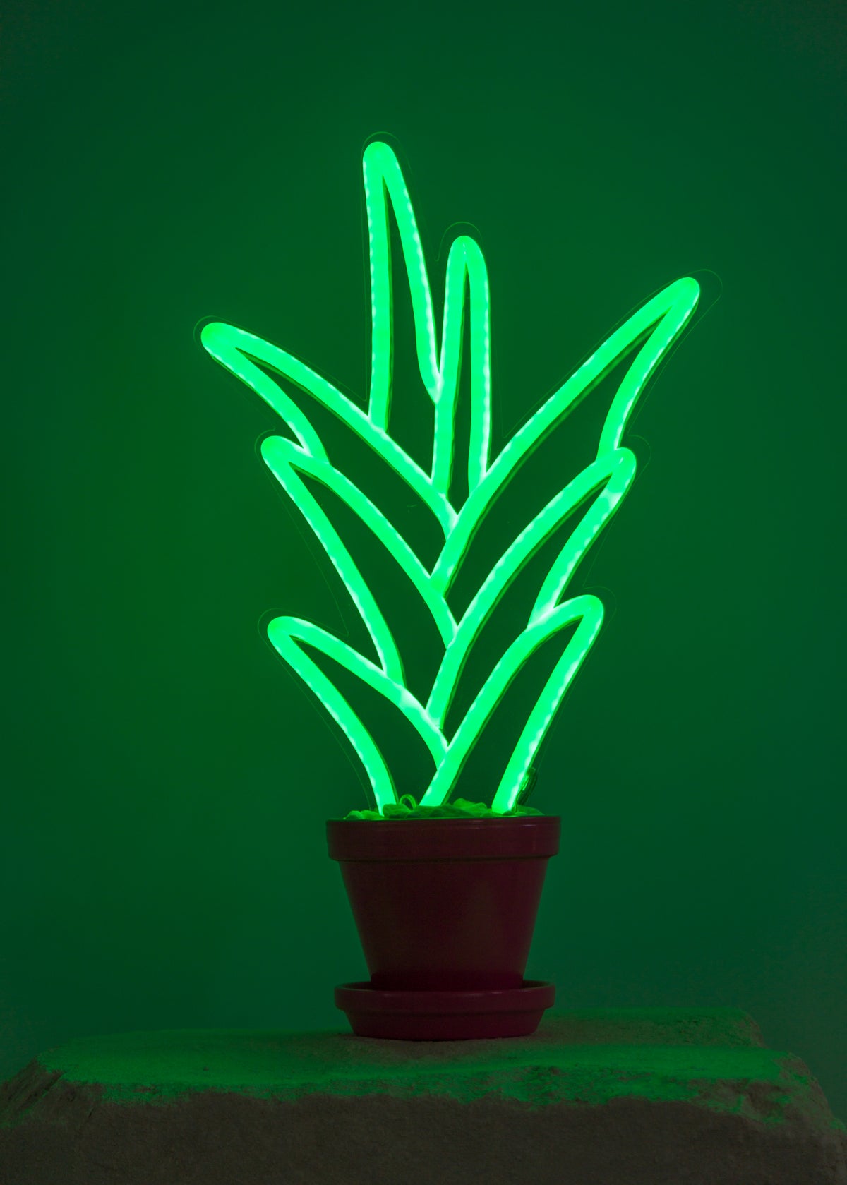 neon plant on a table