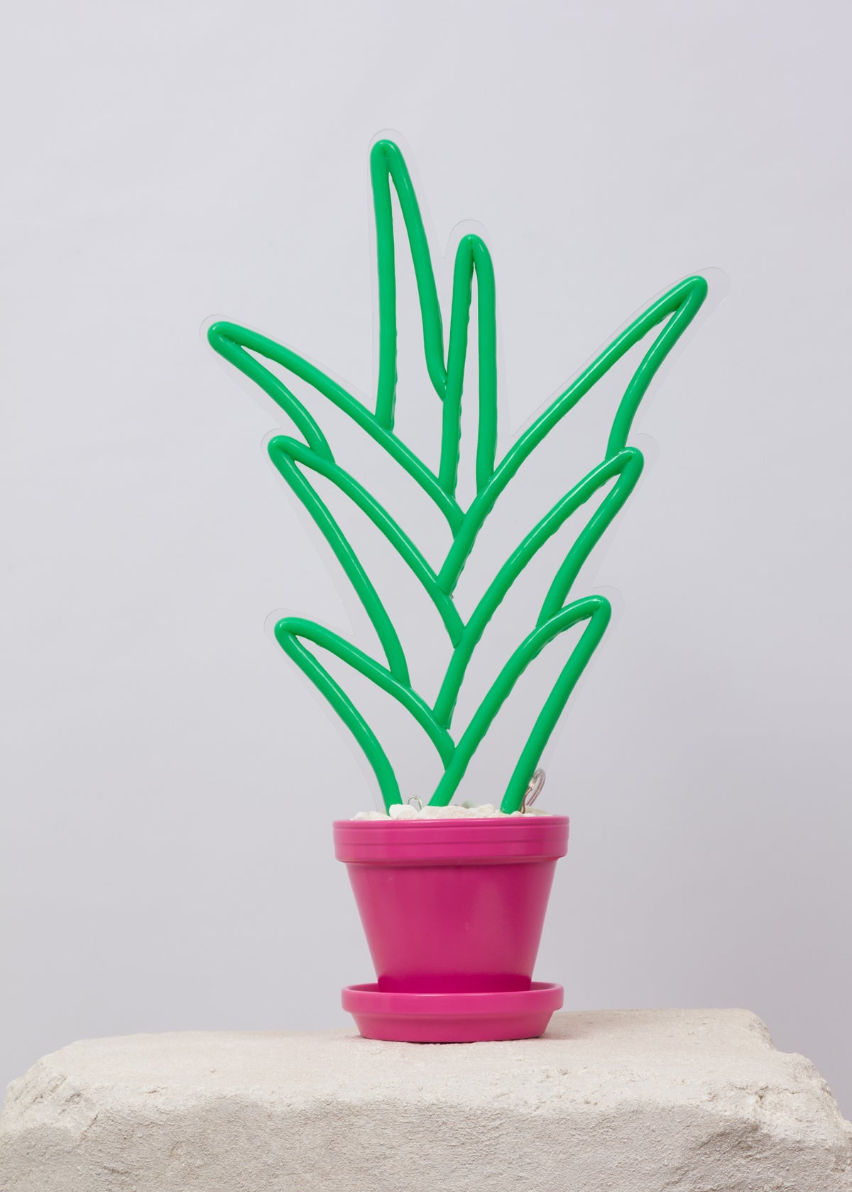 Neon decor . Aloe Vera neon plant