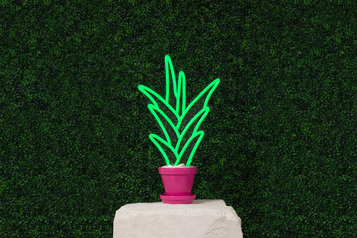 neon plant decor