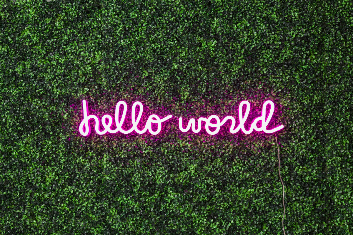 hello world neon decor