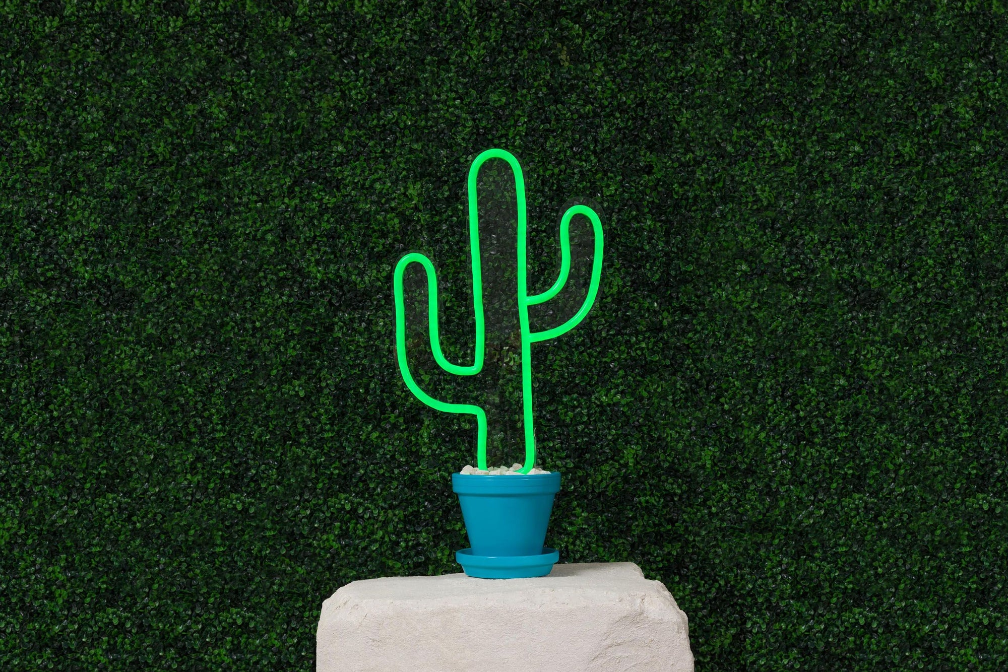classic cactus shaped neon decor