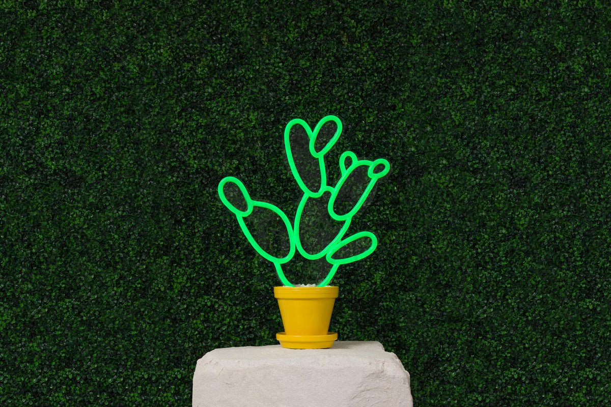 neon pear cactus decor